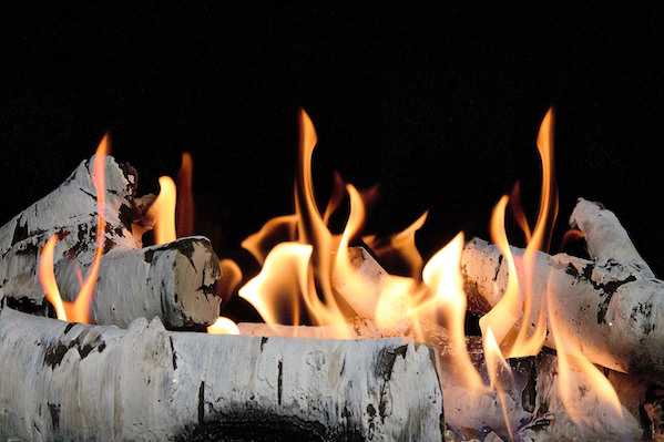 Birchwood fireplace logs