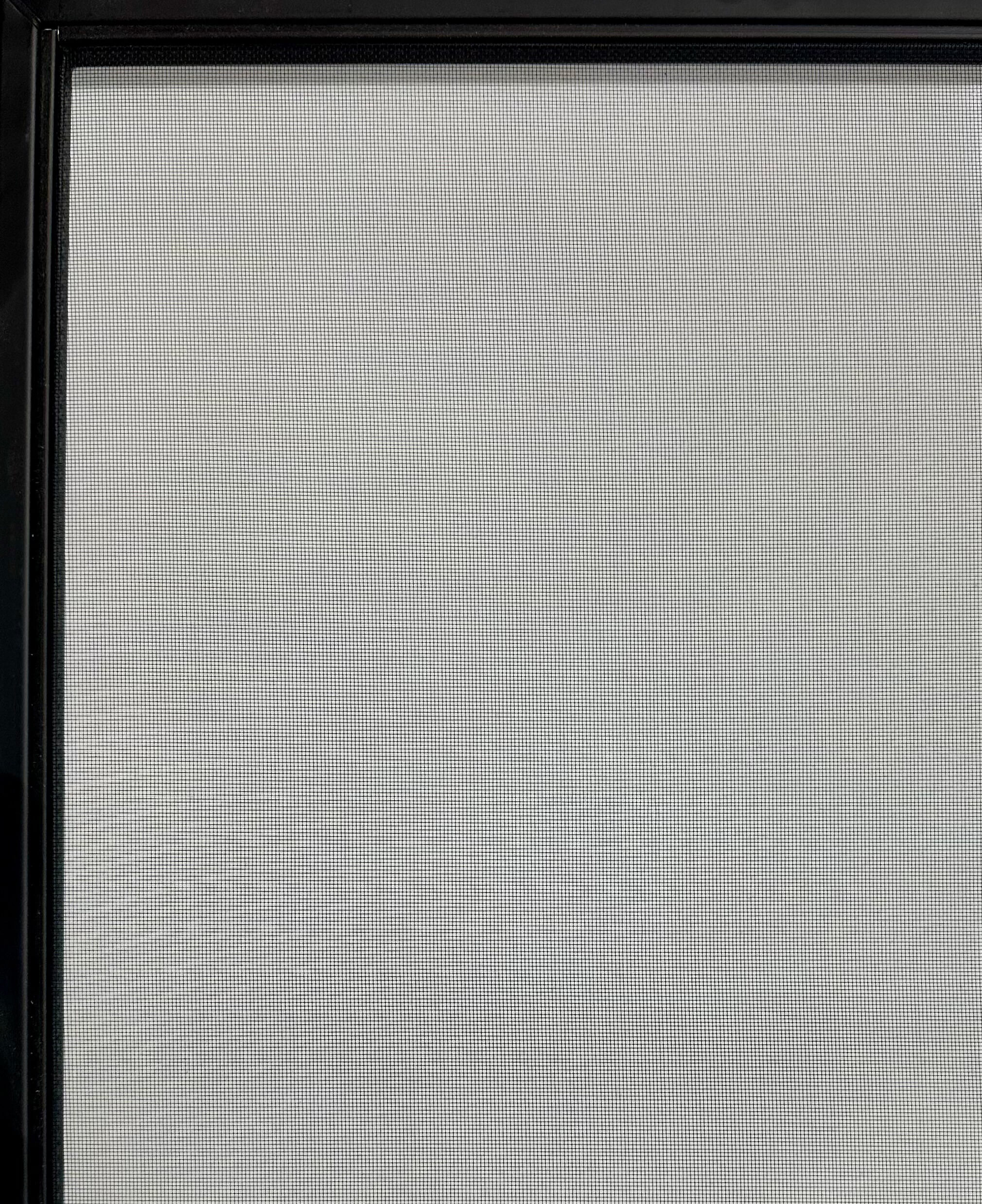 A Flare Fireplace fitted with an invisible mesh safety screen